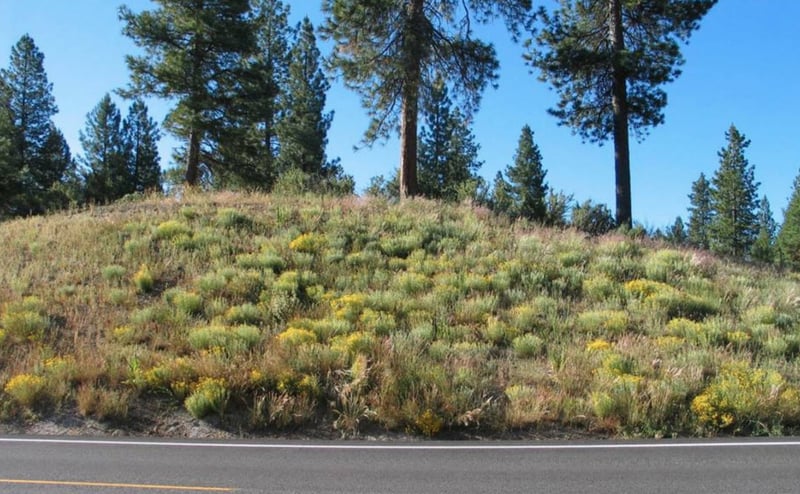 Chiloquin Highway preview 5